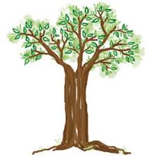 Cara menggambar pohon psikotes mudah | cara menggambar pohon mangga psikotes. Memecahkan Psikotes Menggambar Pohon Draw A Tree Pradikto S Kingdom