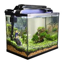 6 8 Gallon 12 Gallon 3 In 1 Aquarium Kit With Glass Fish Tank Filter And Led Light Glass Fish Tanks Fish Tank Aquarium