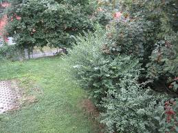 Davon 200€ symbolischer wert für die gartenlaube. Neustadt Orla Kleines 4 Zi Efh Mit Garten Gunstiger Kaufpreis Fur Selbstrenovierer Dr Grosdidier Immobilien