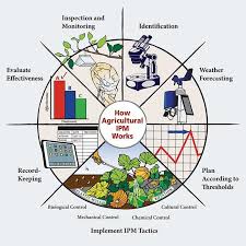 Pest control strategy that uses a combination of techniques to reduce pest pops to economically acceptable levels. Schematic Layout Of Integrated Pest Management Source New York State Download Scientific Diagram