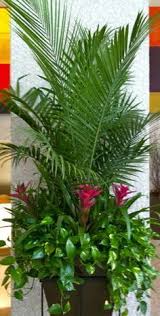 The Arrangement Of Tropical Flowers Is An Extraordinary Gift For Every Occasion Fill The Room With Bright Plants Container Gardening Flowers Garden Containers