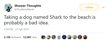 10 Super Deep Shower Thoughts About Animals That Ll Boggle Your Mind Thoughts Funny Relatable Memes Midnight Thoughts