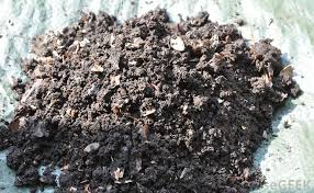 We did not find results for: What Are Worm Castings With Pictures