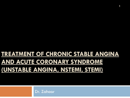 Defintions of stable angina not found. Ppt Treatment Of Chronic Stable Angina And Acute Coronary Syndrome Unstable Angina Nstemi Stemi Powerpoint Presentation Id 2224153