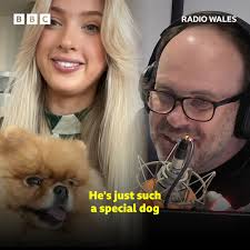 Larry the rescue dog enjoying life after finding a new owner