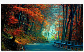 We did not find results for: Cb Edit Background Hd Free Transparent Png Download Pngkey