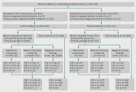 There are three stages (or grades) of cin: Detection Rates Of Precancerous And Cancerous Cervical Lesions Within One Screening Round Of Primary Human Papillomavirus Dna Testing Prospective Randomised Trial In Finland The Bmj