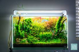 17g Planted Aquarium Nature Aquarium Planted Aquarium Aquarium