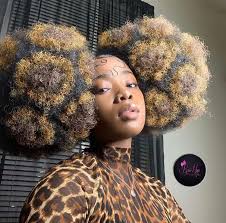 So they dyed their hair black. 20 Dyed Hair Ideas For Natural Hair Using Only Temporary Hair Dye Hair Paint Wax