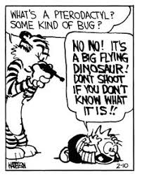 Calvin And Hobbes 4 Of 8 Da What S A Pterodactyl Some Kind Of Bug Calvin And Hobbes Comics Calvin And Hobbes Funny Me