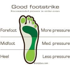 Image result for Comparison of Footstrike Forces