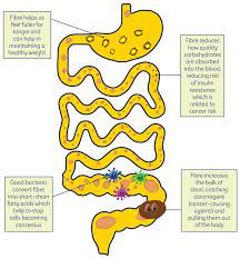 Cancer can develop anywhere in the body. Yl9xzrrkwydjcm