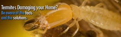 Get a free home inspection. Barnett Pest Solutions Termite Elimination And Prevention