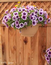 Many flowers suitable for hanging baskets are pendulous, top heavy, or creeping—characteristics that can be a. An Easy Care Guide For Luscious Hanging Basket Flowers Garden Therapy