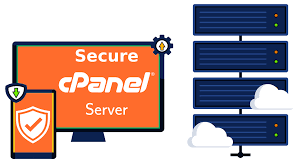 Payzonit C-Panel VPS hosting project