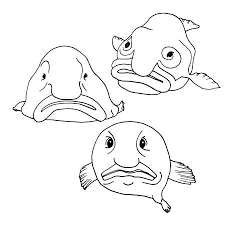 A few boxes of crayons and a variety of coloring and activity pages can help keep kids from getting restless while thanksgiving dinner is cooking. Blobfish Funny Deep Sea Fish Set Of Vector Illustration In Doodle Style Royalty Free Cliparts Vectors And Stock Illustration Image 153371836