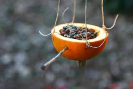Good Deed 1 Diy Bird Feeders One Part Sunshine Diy Bird Feeder Bird Feeders Homemade Bird Houses