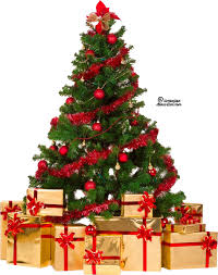 Download free christmas tree png images. Download Christmas Tree Png File Hq Png Image Freepngimg