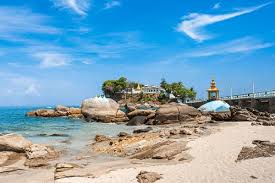 Image result for Euphorbia dawei