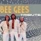 Bee Gees: The Tribute (Jive Talkin’ USA) event image
