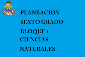 Ciencias naturales libro de texto ciclo escolar 2019 2020 sexto grado. Planeacion Ciencias Naturales Sexto Grado Material Educativo Primaria
