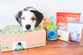 | box insider / best boxes that ship to canada. Eco Friendly Dog Box Pure Earth Pets