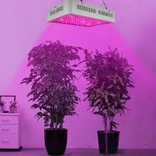 1000w Led Plant Grow Lights On Clearance Full Spectrum Panel Grow Lamp With Ir Uv Led Grow Lights For Indoor Plants Succulents Seedling Vegetables Lettuce Tomatoes And Herbs S11677 Walmart Com