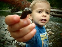 The Caddis Fly: Oregon Fly Fishing Blog