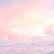 A E S T H E T I C