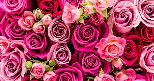 Succulents are a fresh alternative to a flower bouquet. Best Last Minute Mother S Day Gift Ideas To Buy For Your Mum This Weekend Flowers Valentine S Day Flower Arrangements Flower Delivery