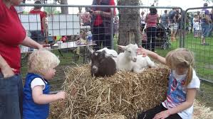 We will travel to your location with our animals in michigan or northern ohio. Mobile Petting Zoo Erickson S Petting Zoo