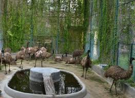 Gulab Bagh and Zoo Udaipur - A Must Visit Place for Nature Lovers