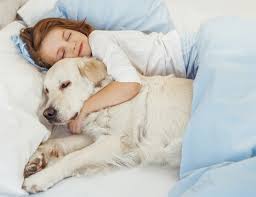 Pe zi, iar unele dintre ele toate 20. Ce Spune Pozitia De Dormit A Animalului Tau De Companie Despre Personalitatea Lui