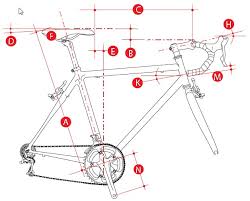 Rothe Training Bike Fit Your Personal Bike Fit For Your Bike