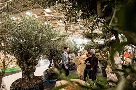 Special topics are presented and there are many highlight to be. Von Anemonen Und Ranunkeln Das Erwartet Dich Auf Der Garten Messe Ab Dem 13 Marz Mucbook