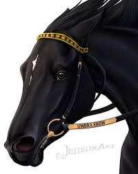 Umbra Snow By Jullelin On Deviantart Horse Drawings Horse Animation Horse Artwork