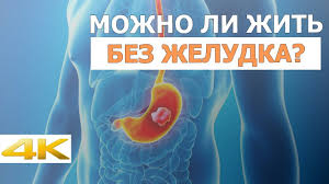 Mozhno Li Zhit Bez Zheludka Youtube