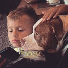 Jennifer Genco's Instagram, Twitter & Facebook