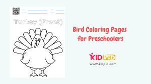 Download & print ➤tweety bird coloring sheets for your child to nurture his/her coloring creative skills. Bird Coloring Pages For Preschoolers Free Printables Pdfs Kidpid