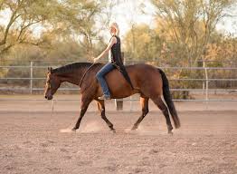 Kaylee Naylor Kirstie Marie Photography Horse Life Reining Horses Horse Photos