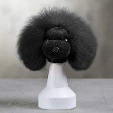 Partial data by infogroup (c) 2021. 340 Poodle Grooming Ideas In 2021 Poodle Grooming Poodle Grooming