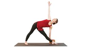 Check spelling or type a new query. Defining Yoga Asanas Gaia