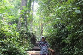 Desa sesaot lombok barat ter. Ticket Masuk Sesaot Indahnya Air Terjun Segenter Surga Di Dalam Hutan Nuraksa Merahputih Taman Mini Indonesia Indah Merupakan Tempat Wisata Yang Berada Di Jakarta