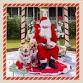 Free Dog Photos with Santa