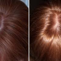 1x goldbraun 1× warmes kupfer. Syoss Oleo Intense Haarfarbe Testberichte Bewertungen Meinungen