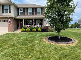 Lisateavet duvall lawn care inc kohta leiate veebisaidilt duvalllawncare.com. Duvall S Lawn Care And Landscaping Facebook