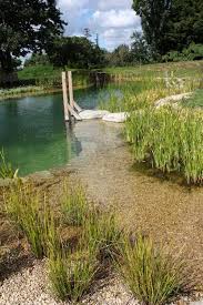 Natural Swimming Pond Designs From Gartenart Natural Swimming Ponds Natural Pond Swimming Pool Pond