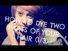 Apply the second color to the top section of your hair. How To Dye Your Hair Two Different Colors 1 3 Youtube