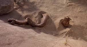 фильм дрожь земли 2 смотреть онлайн в хорошем качестве Drozh Zemli Smotret Onlajn Skachat Torrent Besplatno