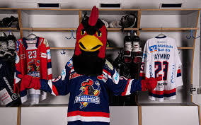 Rooster will serve as a guard and defender against perceived and actual danger. Roosters Besiegen Munchen Radio Mk